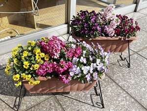 お花見しませんか(*'ω'*)？ | 栃木ダイハツ販売株式会社