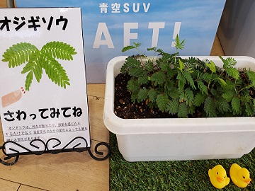 癒し W 栃木ダイハツ販売株式会社