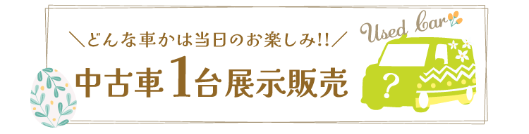 どんな車かはお楽しみ!! 中古車1台展示販売