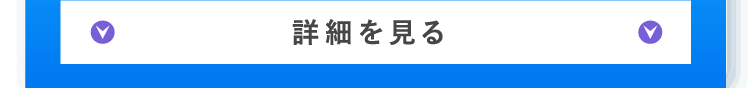 詳細を見る