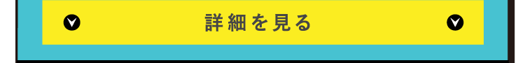 詳細を見る