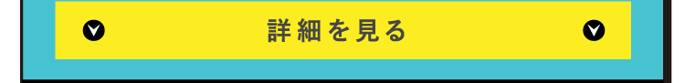 詳細を見る