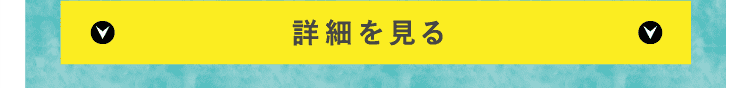 詳細を見る