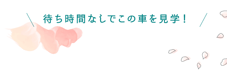 待ち時間なしでこの車を見学