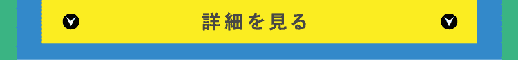 詳細を見る