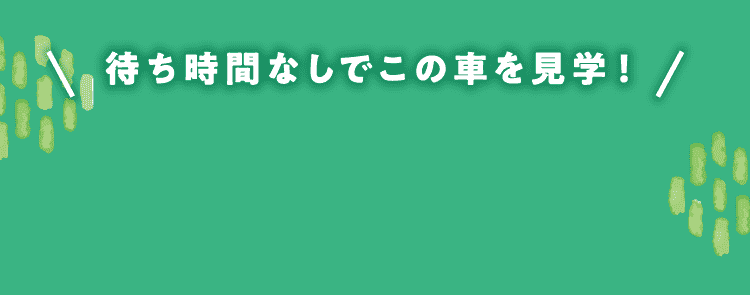 待ち時間なしでこの車を見学