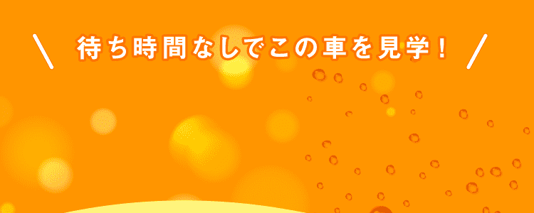 待ち時間なしでこの車を見学