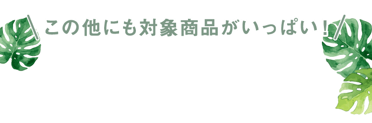 その他にも対象商品がいっぱい!