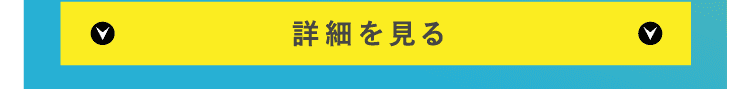 詳細を見る