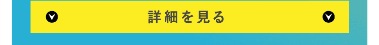 詳細を見る