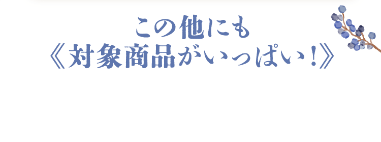 その他にも対象商品がいっぱい!