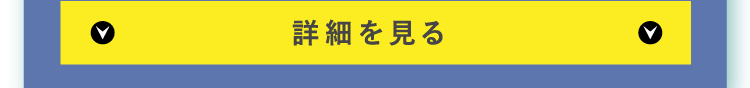 詳細を見る