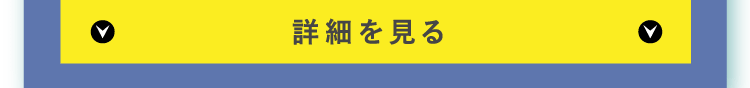 詳細を見る