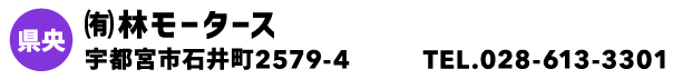 ㈲林モータース