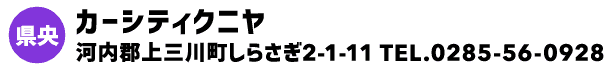 カーシティクニヤ