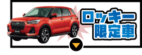 ロッキー限定車