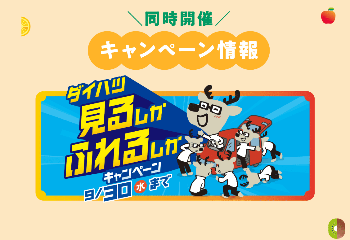 キャンペーン情報