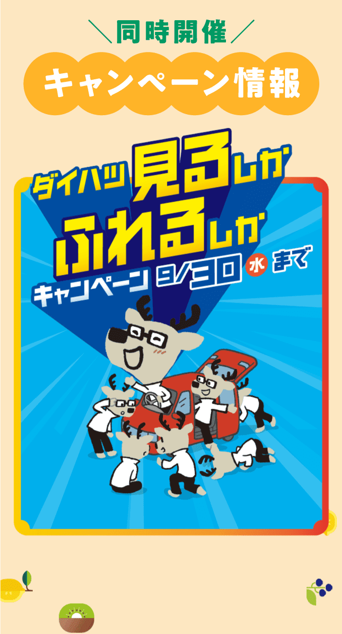 キャンペーン情報